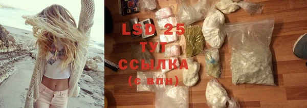 СК Апатиты