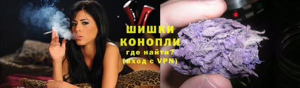 СК Апатиты