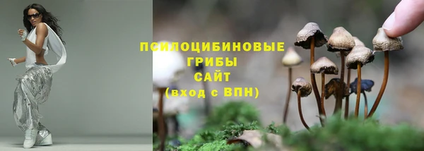 СК Апатиты