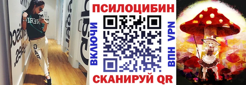 это Telegram  где купить наркотик  Гусиноозёрск  Псилоцибиновые грибы мицелий 